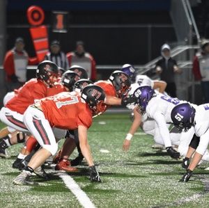 Meet your Posher, Gus